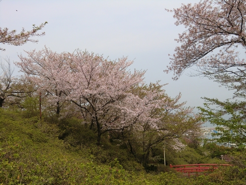 淡輪遊園 岸和田市を中心とした賃貸物件 辻川不動産ブログ